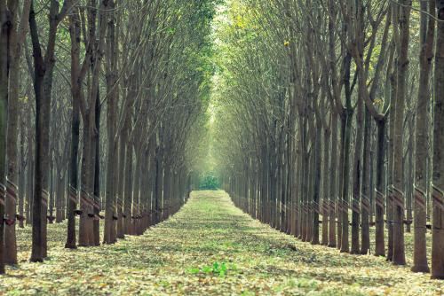 2024年属猴女要留意什么，事业发展理想吗