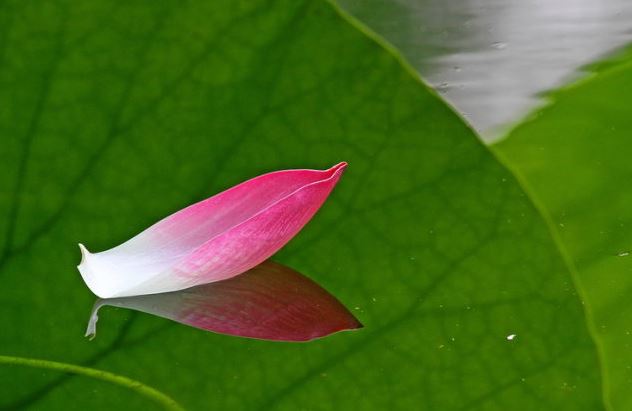 情感大师分享正确处理婆媳关系的妙招