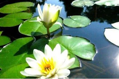 被邪气缠身的破解方法