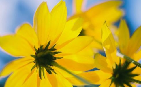 挽回女友失败 可以用这种方法再次挽回