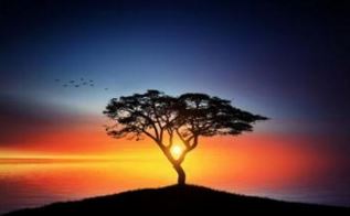 如何在仙塘写还阴债