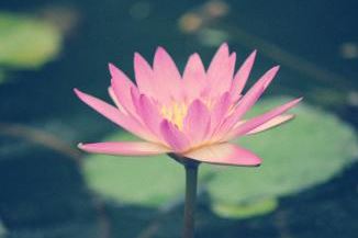 地藏王传,超度亡灵任务详解