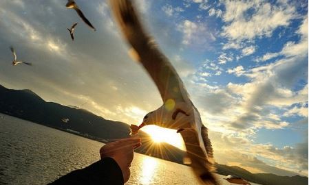 道家的超度流程，超度之前要先做什么