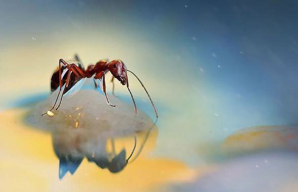 种生基秘法介绍 种生基多久见效