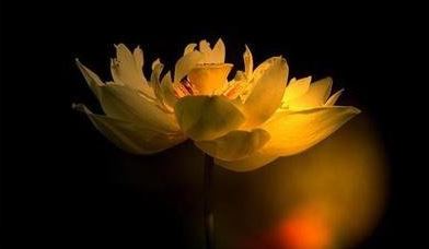 店铺在风水上是动宅还是静宅更为有利？