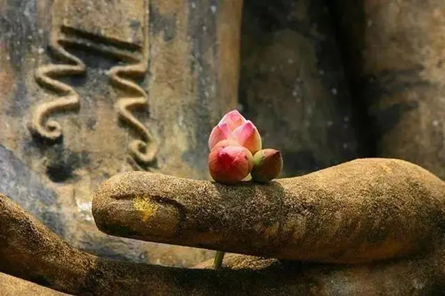 催旺桃花运的方法 十二星座催旺桃花运有妙招