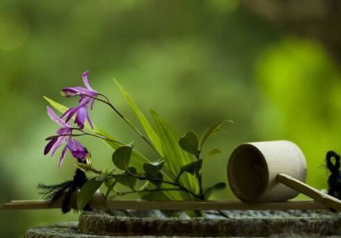 藏传佛教积累功德的方法步骤