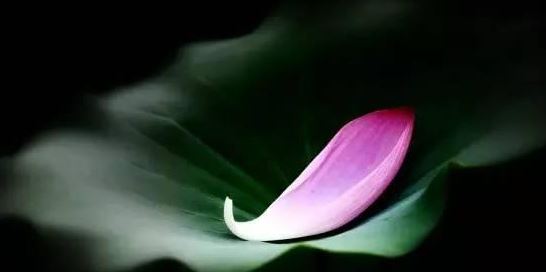 楼房风水是看整栋楼还是看户型如何选择适合自己的居所？