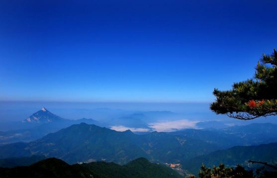 查童子命网站是要注意这些问题