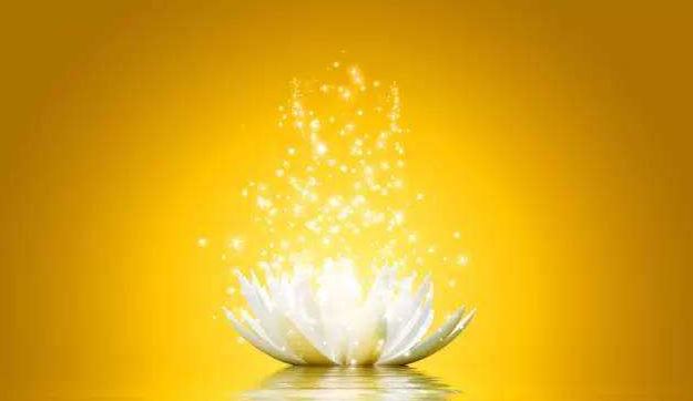 传统的风水学 风水中能挡灾招财的招财树