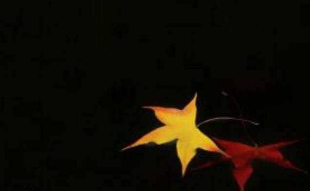 发现妻子的婚外遇 不能拳打脚踢 不能开口咒骂