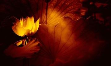 出生时辰看适合的专业,这种方法一看一个准