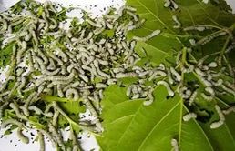 教你如何送走堕胎婴儿，化解堕胎婴儿的影响