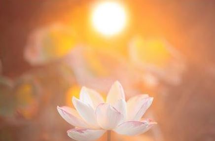 为了挽回婚姻 我做了夫妻和合术