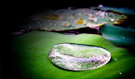 大悲院立牌位做超度多钱,超度堕胎婴灵写谁的名字