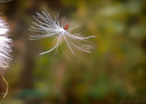 堕胎7年了还需要超度吗 只要婴灵还在 就必须超