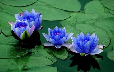 怀孕40天堕胎有无婴灵 不但有还可能被其缠身报复