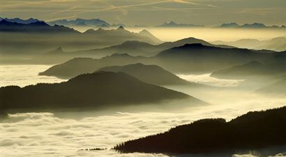 今日生肖财运运势如何看出来呢 今日生肖财运运势如何看出来