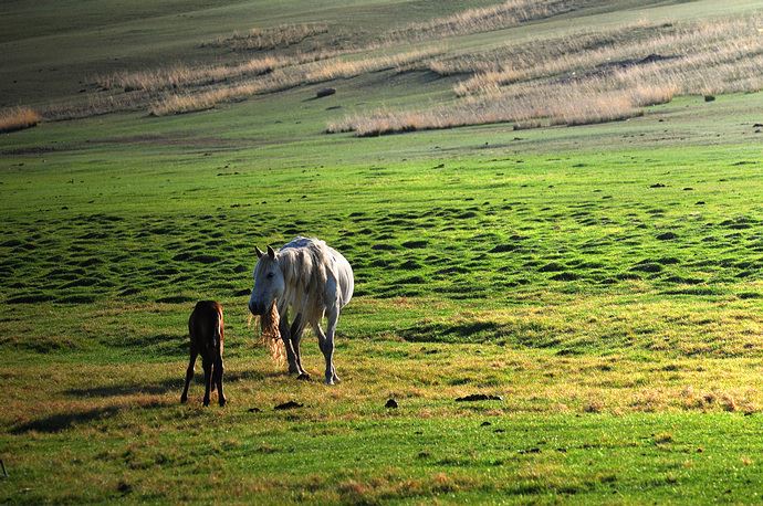 身上带仙气的人的特点，他们是不是也很喜欢神秘的东西