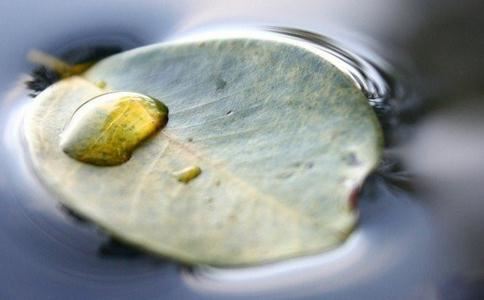 道教历史及起源