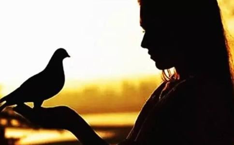 开补财库有效果吗，如何开补财库