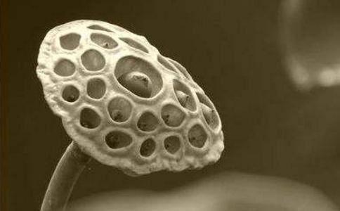 如何还阴债并延长寿命？掌握这些方法助你长命百岁