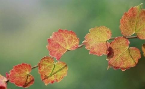 挽回老婆失望的心，和合术，夫妻和合符