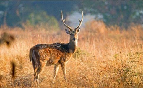 打胎小孩子会找父亲吗 当然会找父亲 还会展开报