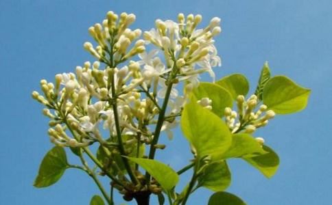 如何判断有没有超度走，不同的情况用选择不同