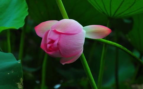 还阴债补财库视频了解如何纾解财运压力