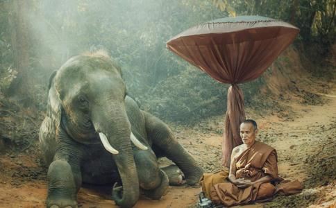 八字哪些天出生的人命好？猜测你不知道！