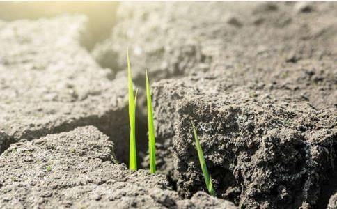 梦到自己头发变白？解读梦境中的头发变白现象,预示什么？