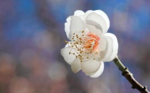 超度亡灵法事，让亡灵安息在世的人才能安康