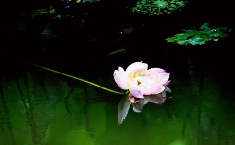 阳宅风水忌讳，住进去很可能会有意外发生