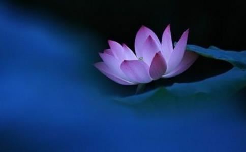 红寺堡扶贫移民开发区有超度婴灵吗