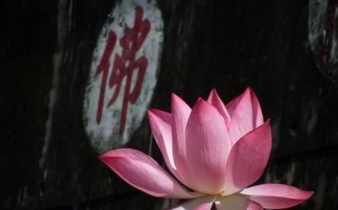 婆婆强势对家庭的影响，这样的婆婆太恐怖了！