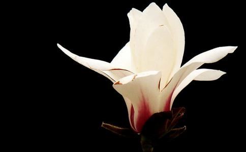 我该不该坚持挽回婚姻 当你迷茫时这样做