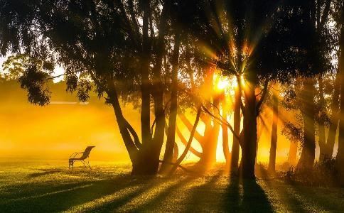 哪些人需要做灵婴超度法事?不做灵婴超度法事会