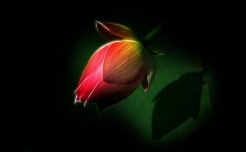 做生命根基的奇妙效果,主要体现在这些方面