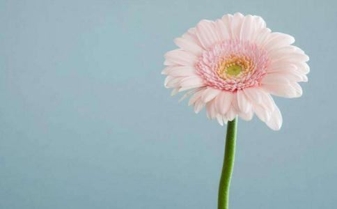 店铺招财的风水布局怎么做 如何让店铺招财进宝