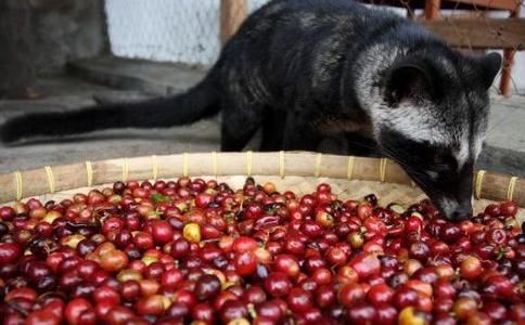 男朋友去世了怎么请和尚道士超度,男朋友去世做超度法事