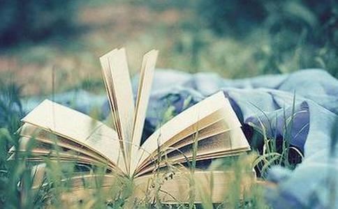 鹏程万里是什么生肖,一马当先是什么生肖