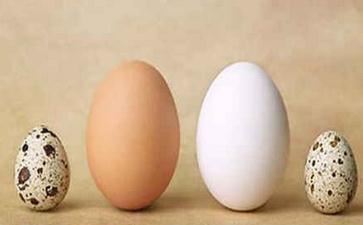 容易感觉寂寞孤独的星座 狮子座经常感觉孤立无援