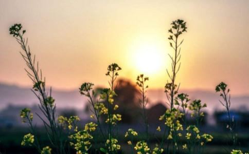 出马仙什么仙最厉害?出马仙分几个等级划分