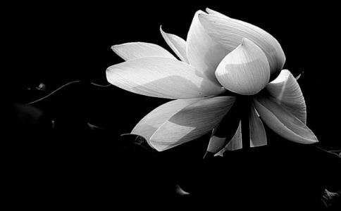 招财符的印象:中华传统文化中的财富信仰