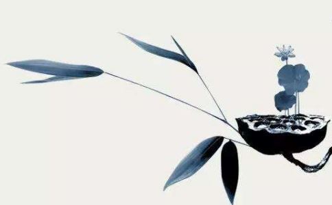 特殊命格送替身布局化解区别在哪里 看完才知道不可乱用