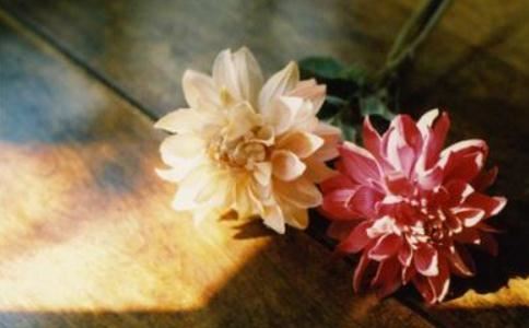 互相尊重，是人与人之间如何做到和谐相处的办法