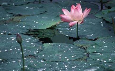 童子命的人好 只要努力改命也能有好的未来