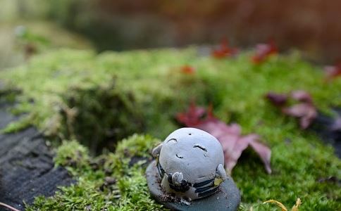 迎亲的路上碰到大树大石头井台会犯忌讳吗