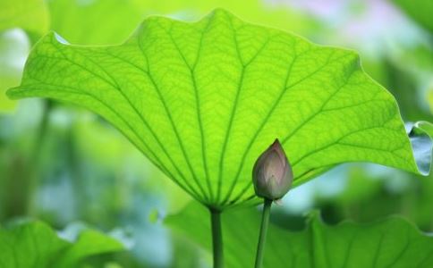 婆媳关系紧张的调节技巧，记住这三要点